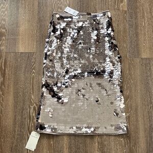 Abercrombie & Fitch Silver Sequin Pencil Skirt